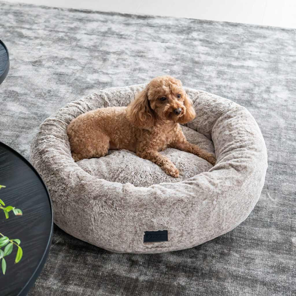 Round dog bed with raised walls and faux fur calming material in latte colour