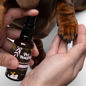 Pet Botanica Colloidal Silver for pets 50ml spray bottle